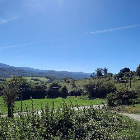 Chez Line Et Pierre: Appartement Spacieux, Lumineux Et Equipe La Bastide-de-Serou Экстерьер фото